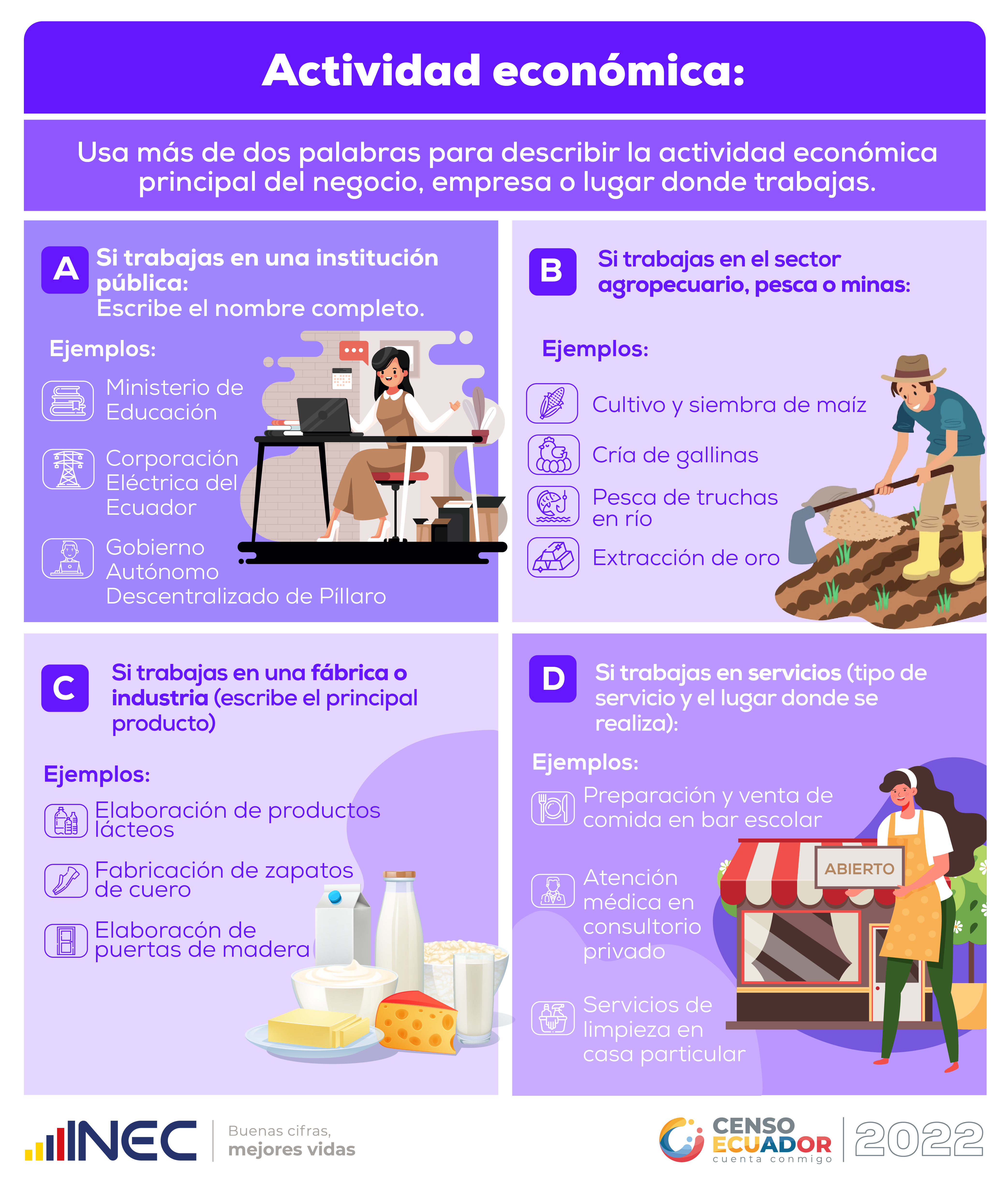 Describe tu actividad económica con esta guía